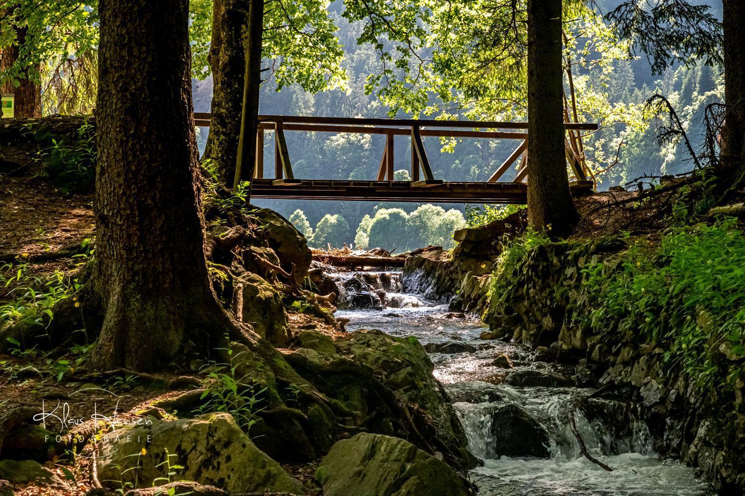 Haus Koenige Hinterzarten Zewnętrze zdjęcie