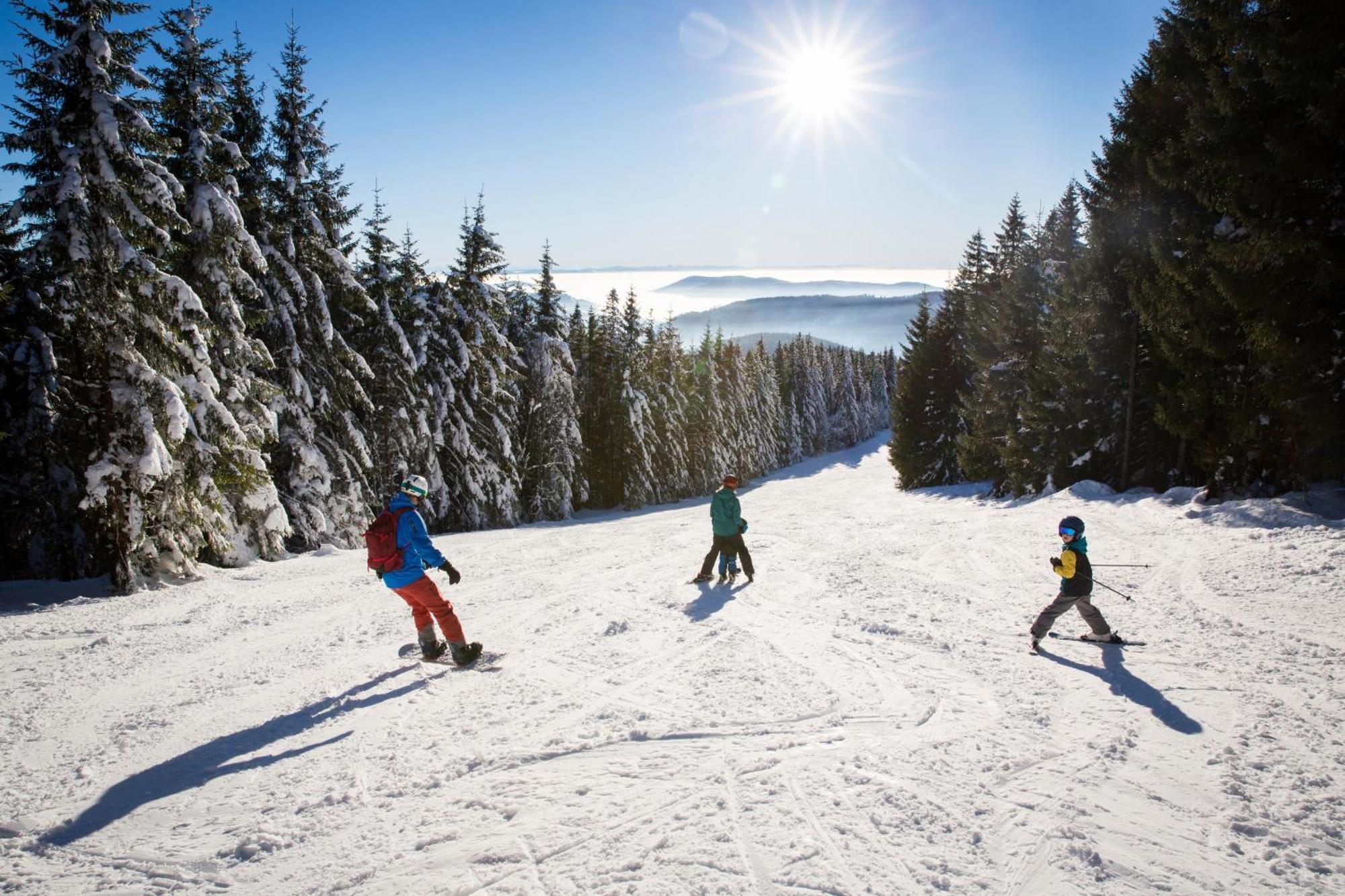 Haus Koenige Hinterzarten Zewnętrze zdjęcie